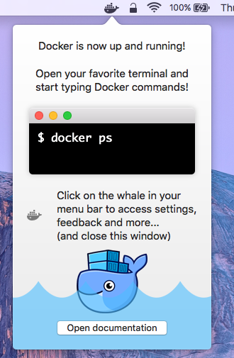 Start Typing Docker Commands!